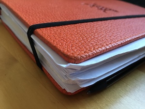 Overstuffed Web 300px.jpg