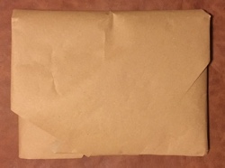 Delivered Web 250px.jpg