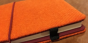 With Notebook Web 300px.jpg