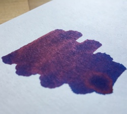 Q-Tip Test Web 250px.jpg