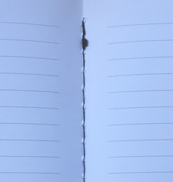 Be Smart Stitching WEb 250px.jpg