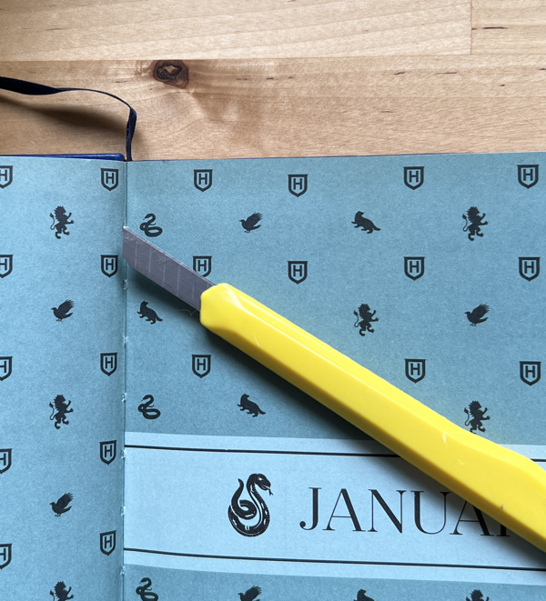 02 Step 1 Web 600 hpx